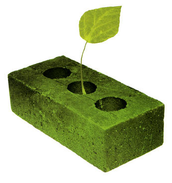 Brick with Plant Growing Green