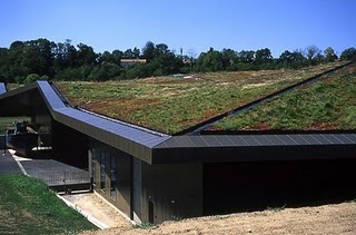 Eco Friendly Roof Energy and Environmental Roof Design