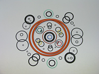 Different Size of High-Pressure Lip Seal 